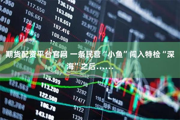 期货配资平台官网 一条民营“小鱼”闯入特检“深海”之后……