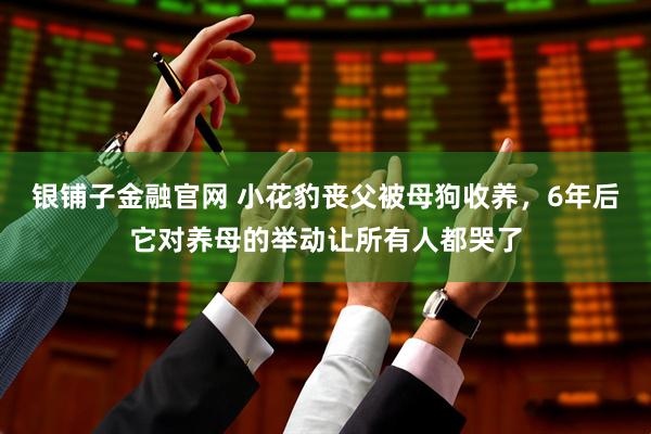 银铺子金融官网 小花豹丧父被母狗收养，6年后它对养母的举动让所有人都哭了
