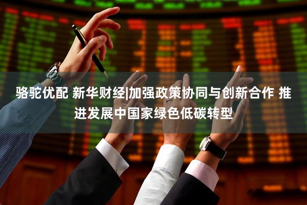 骆驼优配 新华财经|加强政策协同与创新合作 推进发展中国家绿色低碳转型