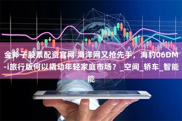 金斧子股票配资官网 海洋网又抢先手，海豹06DM-i旅行版何以撬动年轻家庭市场？_空间_轿车_智能