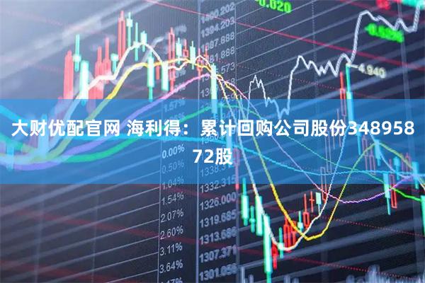大财优配官网 海利得：累计回购公司股份34895872股