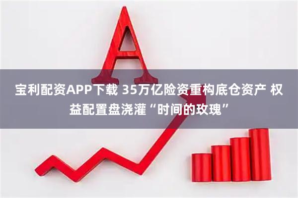 宝利配资APP下载 35万亿险资重构底仓资产 权益配置盘浇灌“时间的玫瑰”